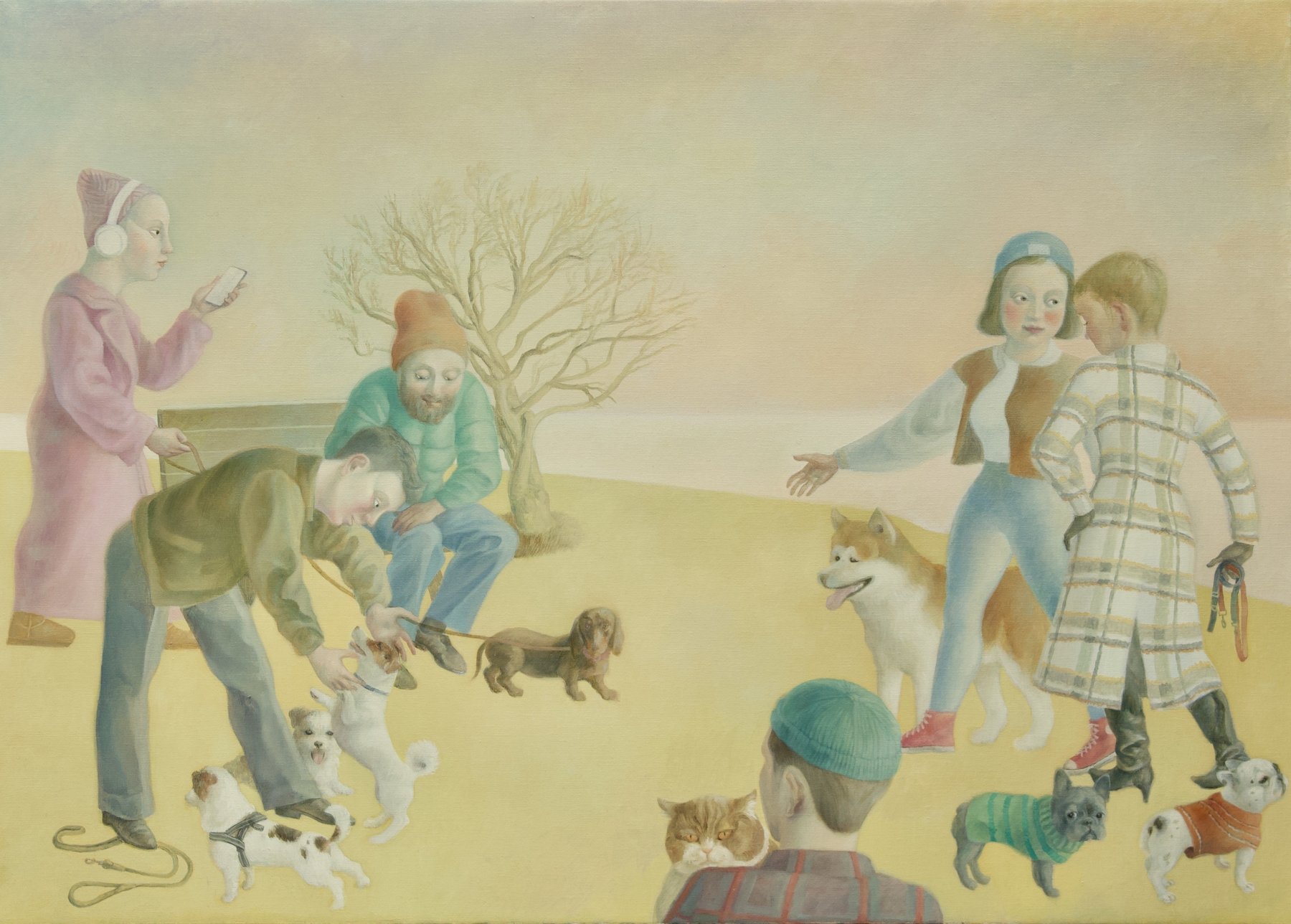 Malmo Dog Park, 2025